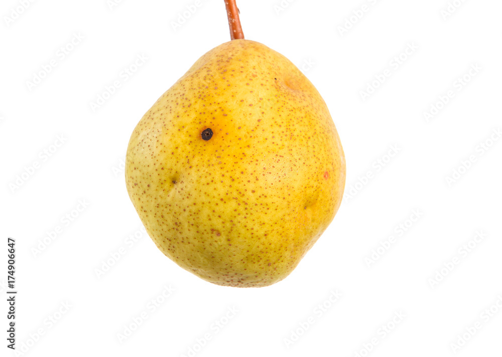 Pear on white isolated background. Space for text. Close-up