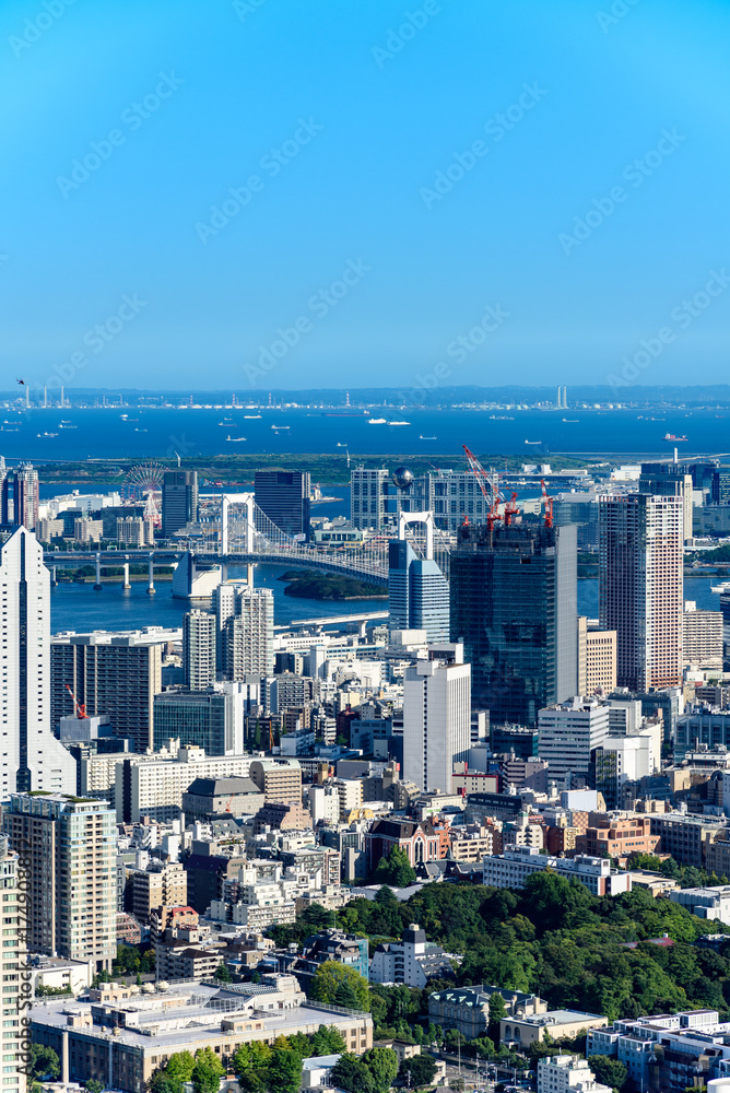 Fototapeta premium 東京の都市風景 日中