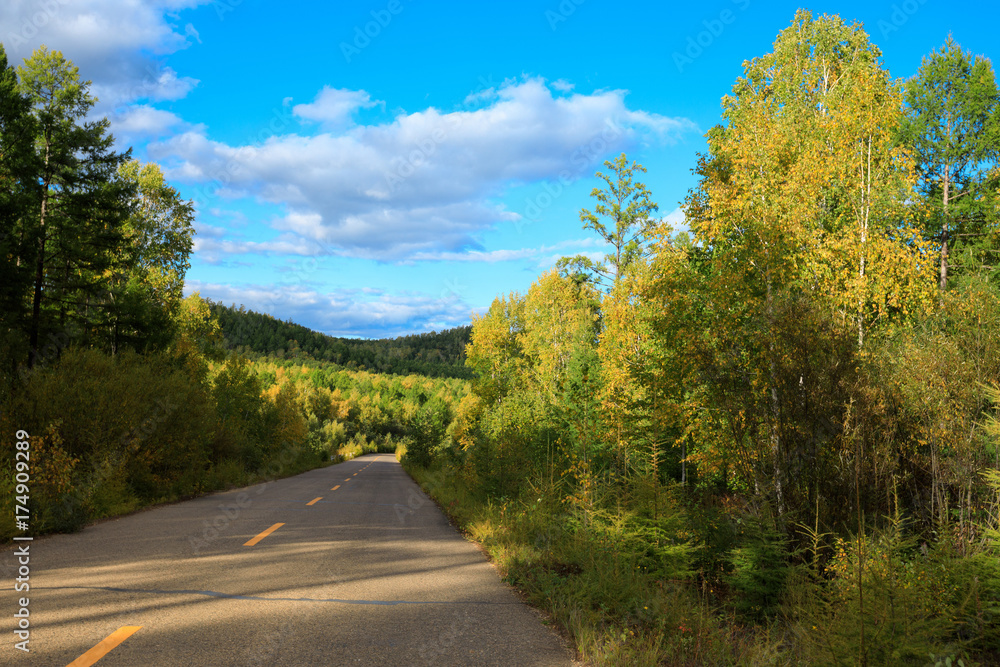 Fototapeta premium trail in colorful autumn forest