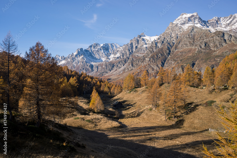 Scenics mountain fall landscape with wood lodge in larches forest in sunny autumn day outdoor.