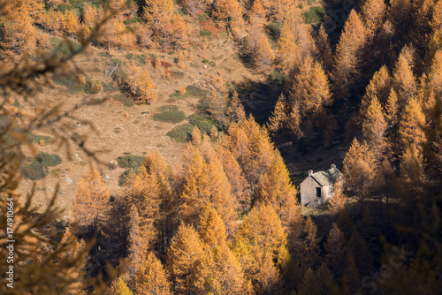 Scenics mountain fall landscape with stone lodge surrounded by larches forest in sunny autumn day outdoor.