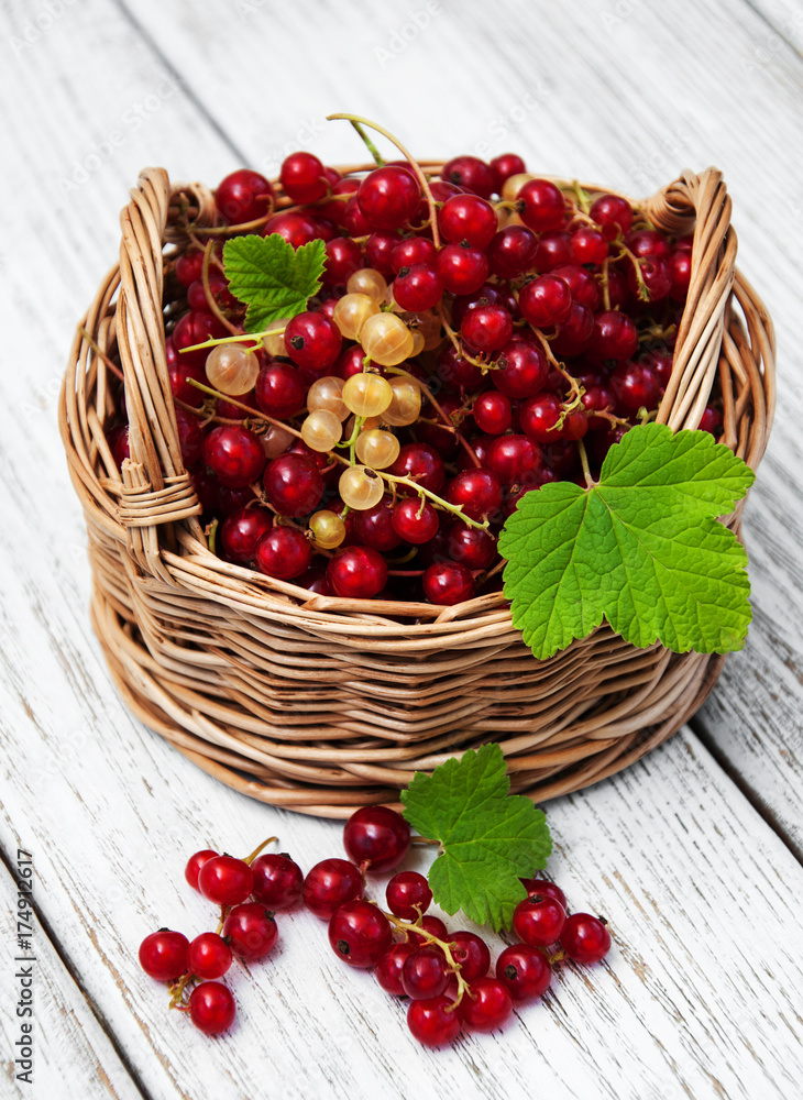 Basket l with red currant Basket l with red currant