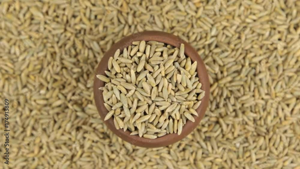 Rotation and approaching of rye in a clay pot, standing on the background of rye seeds. Rotation and approaching of rye in a clay pot, standing on the background of rye seeds.
