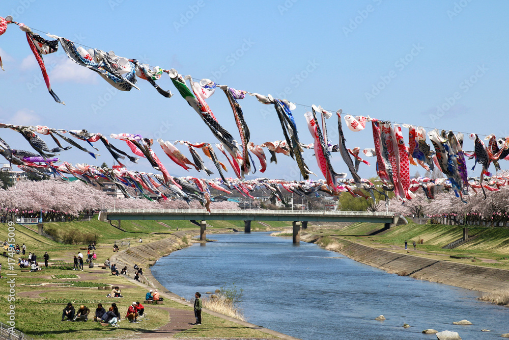 釈迦堂川の桜（福島県・須賀川市） StockFoto Adobe Stock