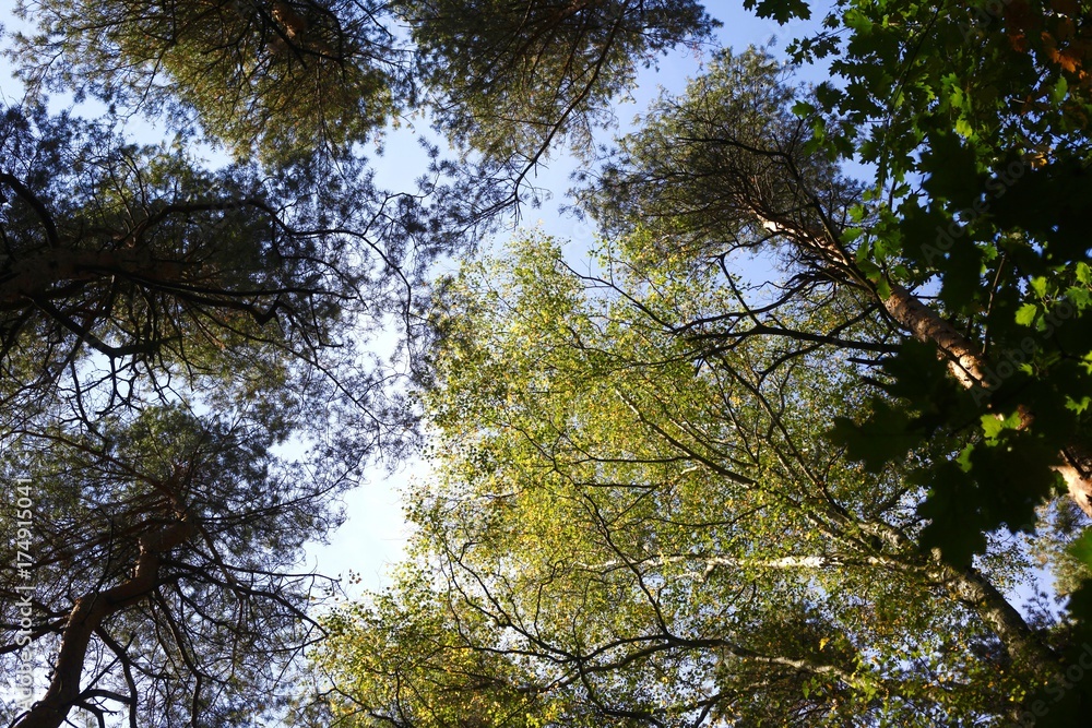 Fototapeta premium Herbstzeit