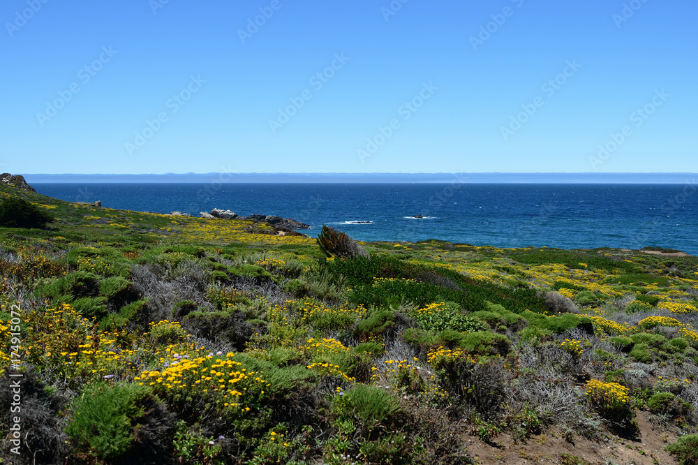 Beautiful landscapes along the California State Route One, California, USA Beautiful landscapes along the California State Route One, California, USA