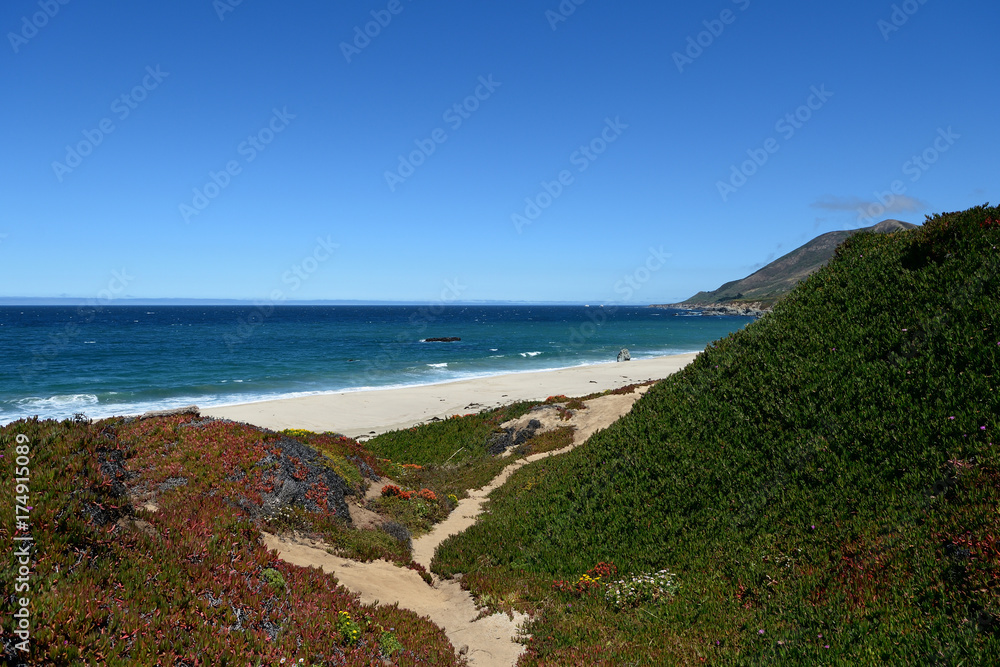 Beautiful landscapes along the California State Route One, California, USA Beautiful landscapes along the California State Route One, California, USA