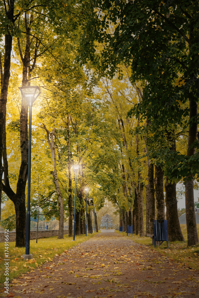 Autumn trees and park lantern