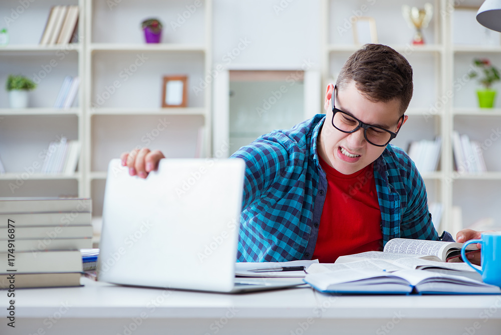 Young teenager preparing for exams studying at a desk indoors Young teenager preparing for exams studying at a desk indoors