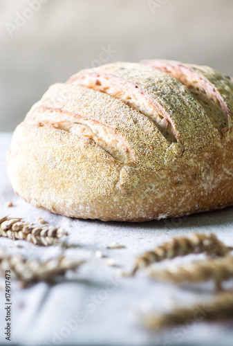 Fresh sourdough artisan bread and wheat on gray kitchen towel