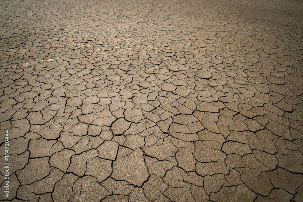Crack soil on dry season.