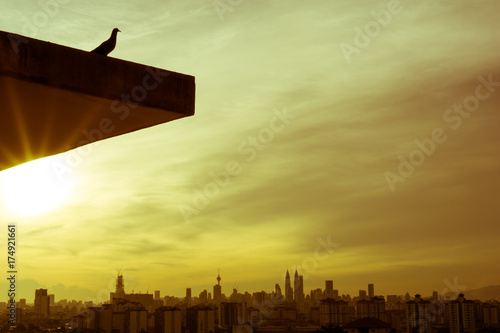 Photography Silhouette of bird over downtown Kuala Lumpur, Malaysia