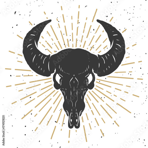 Illustration of buffalo skull isolated on white background. Design element for poster, emblem, sign, t-shirt. Vector illustration