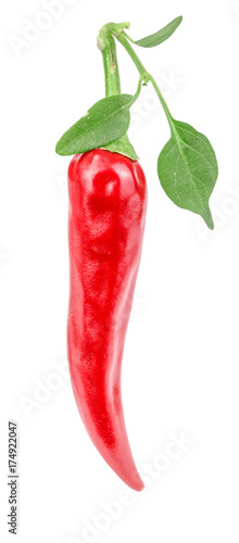 Red chili pepper with leaf isolated on a white background no shadow