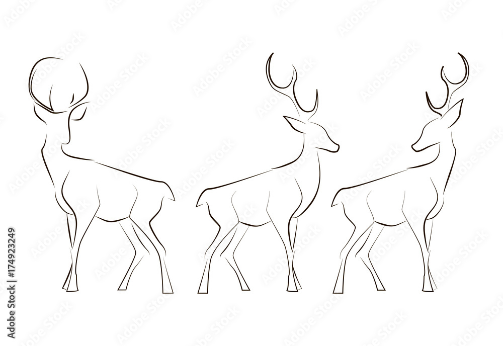 Standing black line deers on white background. Hand drawing vector graphic animals. Standing black line deers on white background. Hand drawing vector graphic animals.