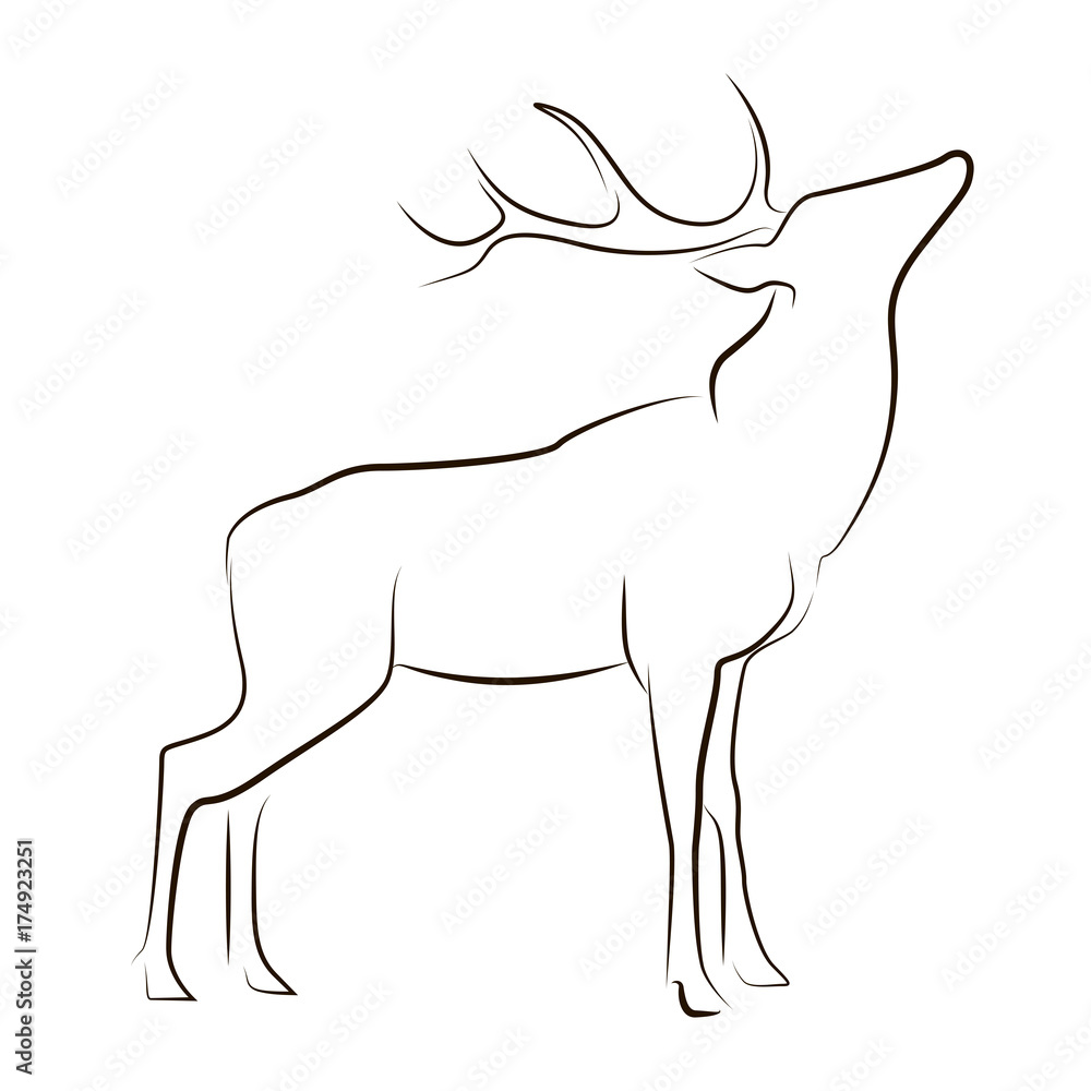 Deer Sketch | Pencil sketches of animals, Deer drawing, Deer sketch