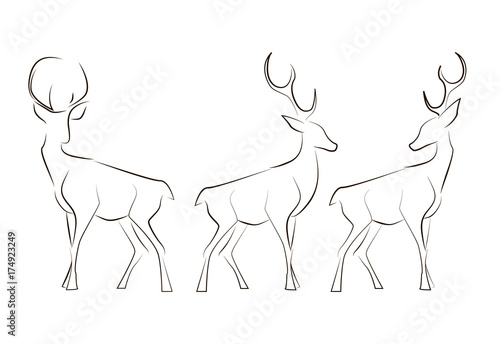 Standing black line deers on white background. Hand drawing vector graphic animals.