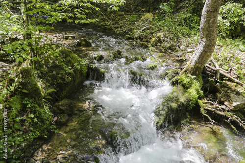 Beautiful mountain stream with a waterfall  in spring forest 