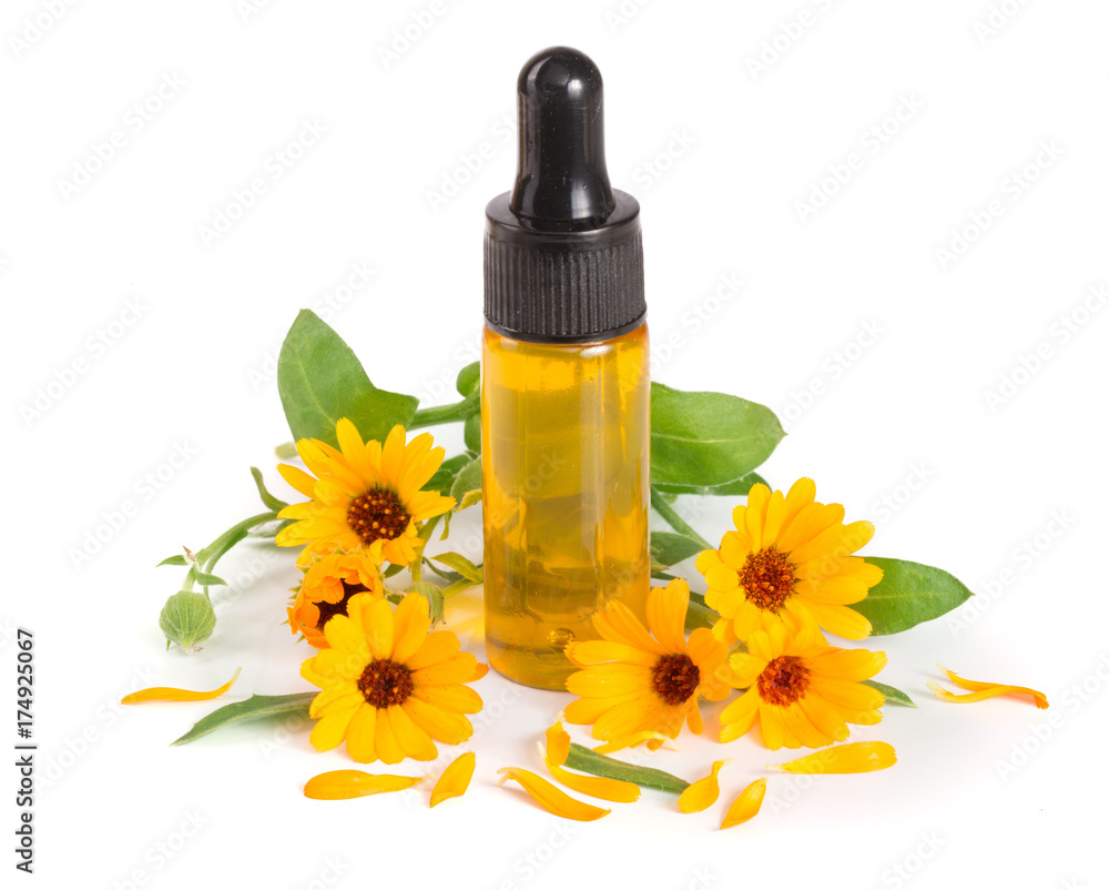 aromatherapy essential oil with marigold flowers isolated white background aromatherapy essential oil with marigold flowers isolated white background