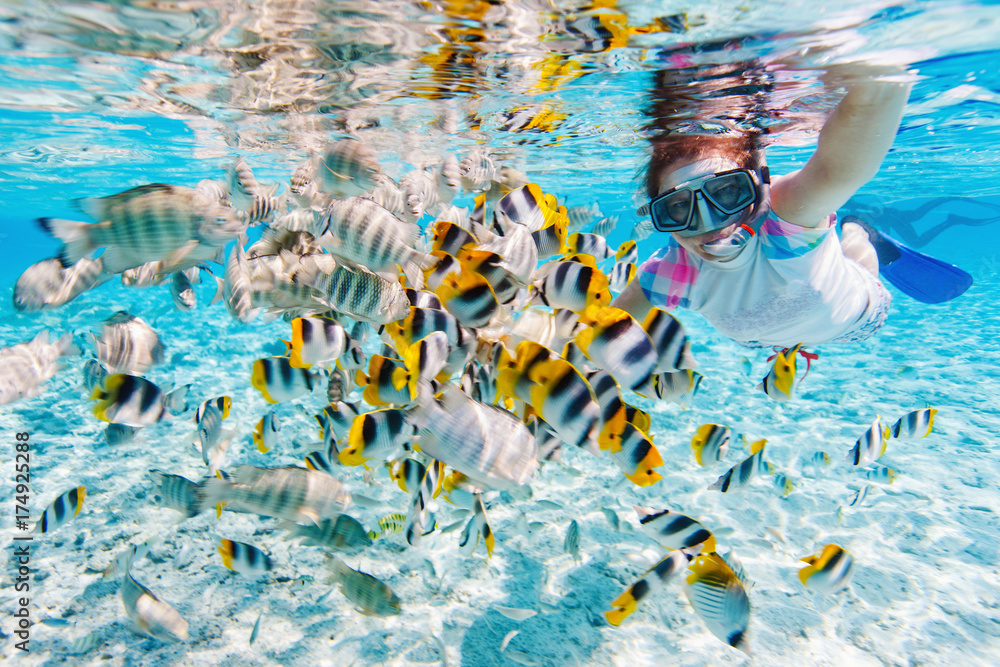 Woman snorkeling with tropical fish - obrazy, fototapety, plakaty 