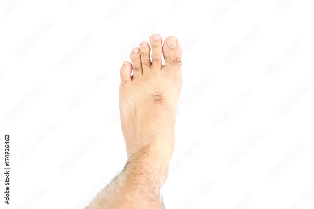 The Foot on White background The Foot on White background