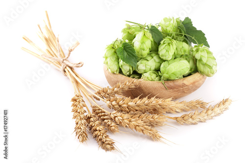 hop cones in a wooden bowl with ears of wheat isolated on white background close-up