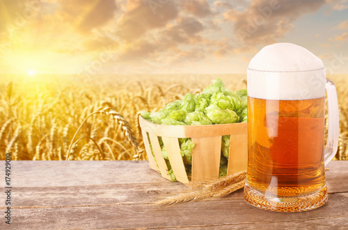 mug of beer against wheat field