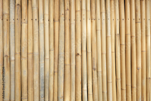 Fototapeta Naklejka Na Ścianę i Meble -  Bamboo wall background.