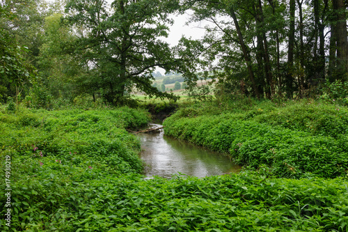 D  Bayern  Unterfranken  H  chheim  Milzgrund  naturbelassener Bachlauf  Flusslauf 