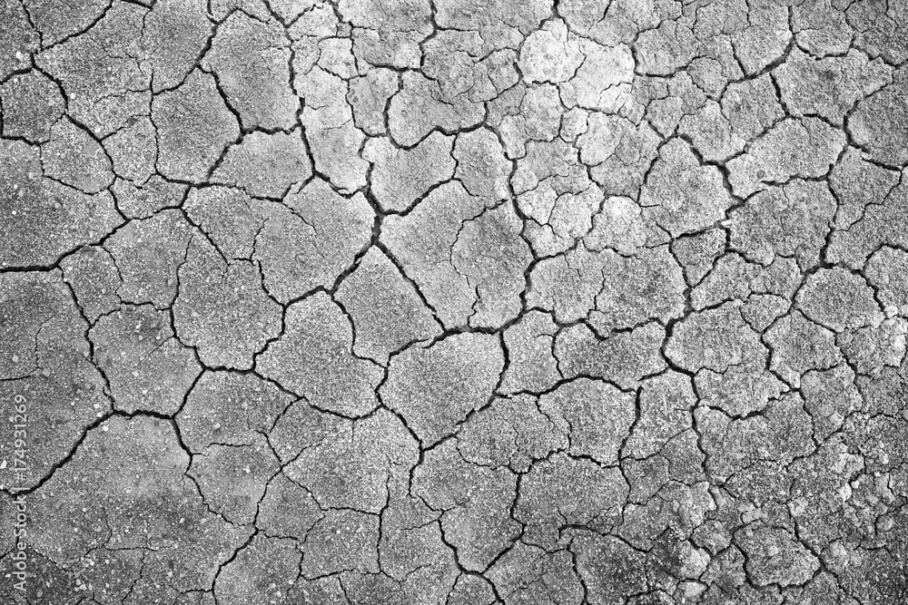 Dry and cracked earth background. Black and White tone. Dry and cracked earth background. Black and White tone.