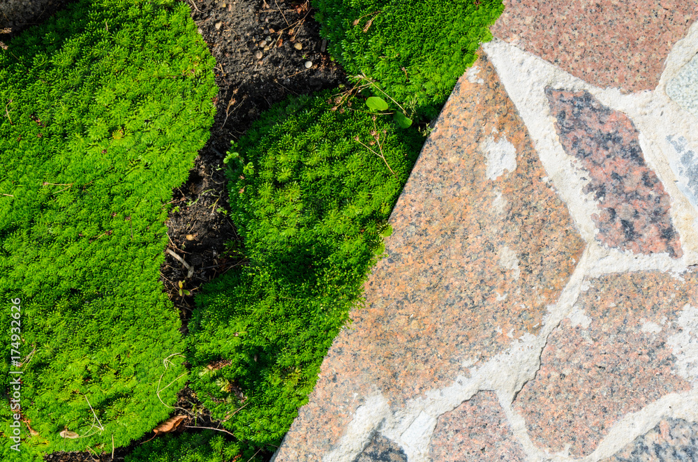 Abstract Cracked Mosaic Texture from Natural Stones with Plants. Flower Bed Element Abstract Cracked Mosaic Texture from Natural Stones with Plants. Flower Bed Element