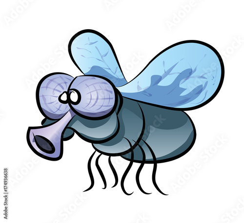 fly