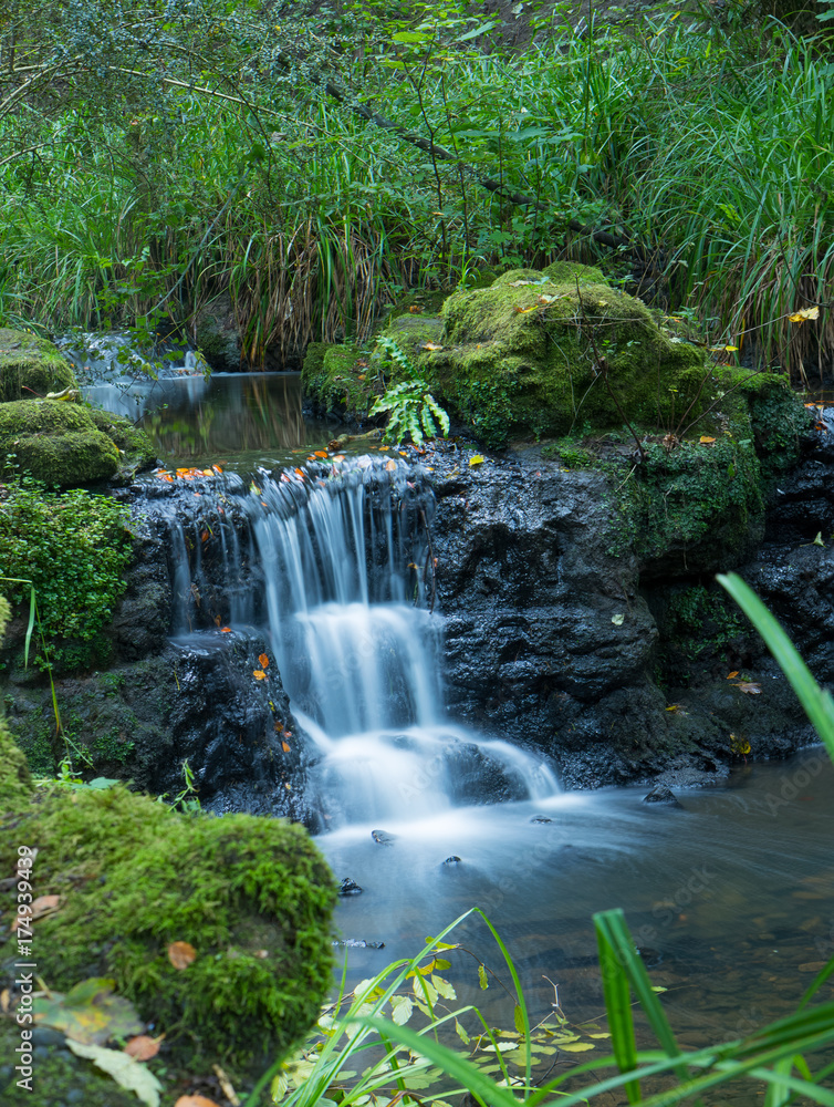 Naklejka premium Peasholm Glen
