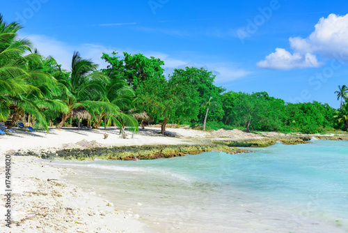 Caribbean palm beach