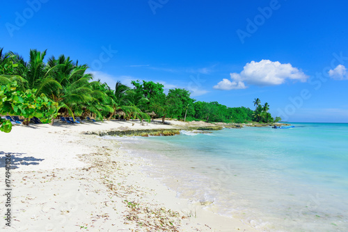 Caribbean palm beach © dbrus