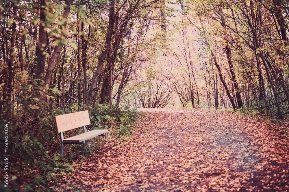 The Bench Lochness Park Minnesota