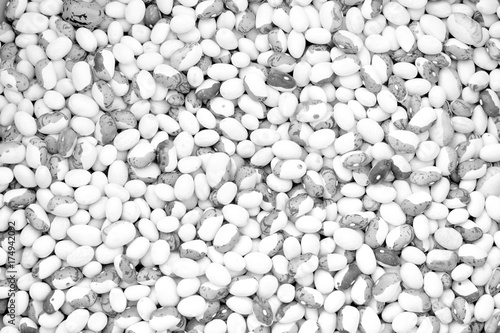 black in white/ abstract background of a set of bean beans top view