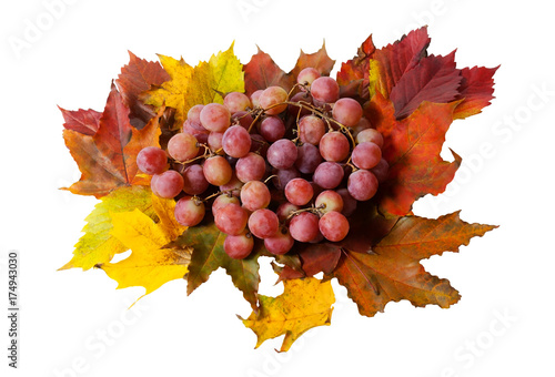 Purple grape and autumn leaves isolated on white background