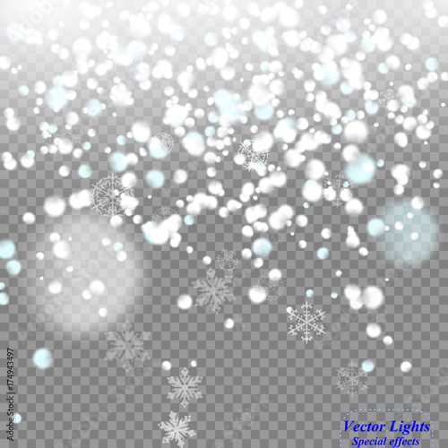 Bokeh background. Snowflakes isolated. Vector illustration.