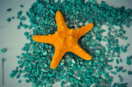 one or a set starfish on a green stones