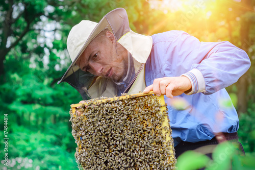 The beekeeper works with bees near the hives. Apiculture. © kosolovskyy