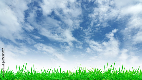 Green Grass and Blue Sky