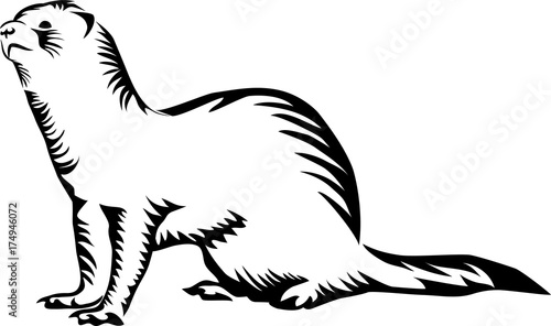 Ferret - stylized vector illustration