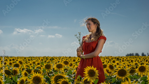 girl and a field of sunflowers photo