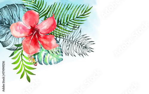 Hand drawn watercolor tropical plants