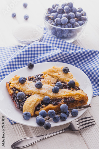 delicious homemade pie with blackthorn