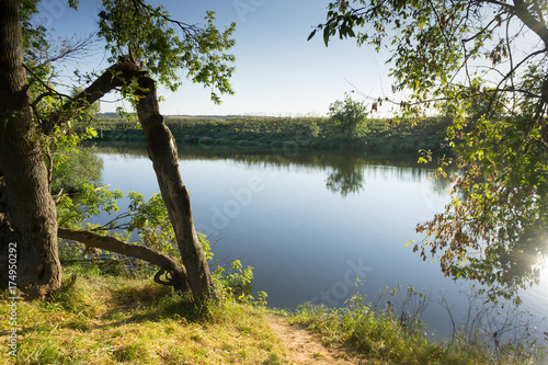 A tree broken in the storm, and a river that evaporates in the hot summer sun. Untouched nature in Russia © Mak