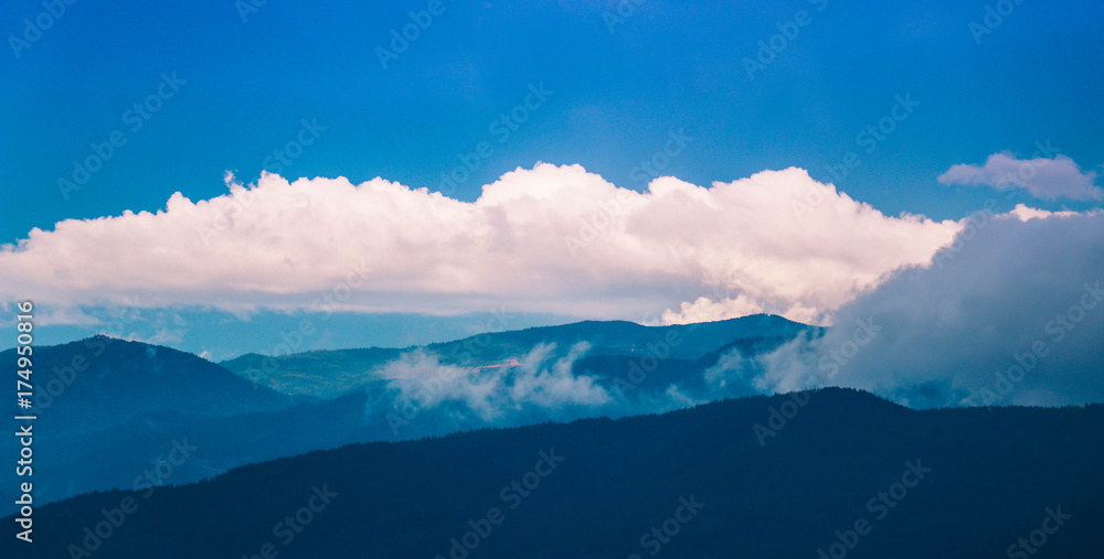 Obraz premium Photo depicting beautiful a foggy mystic mountains. Fog clouds at the pine tree mystical woods, morning. Europe, mysterious alps landscape.
