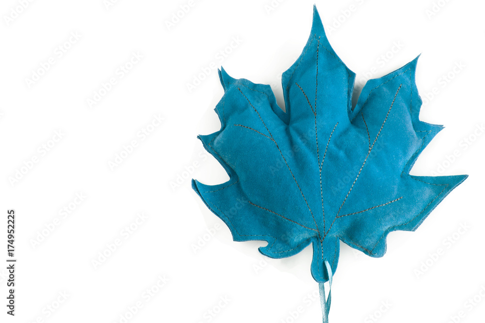 Naklejka premium Leaf isolated on white background with copy space for your design 