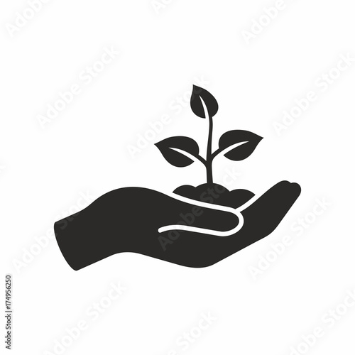 Plant in hand. Vector icon.